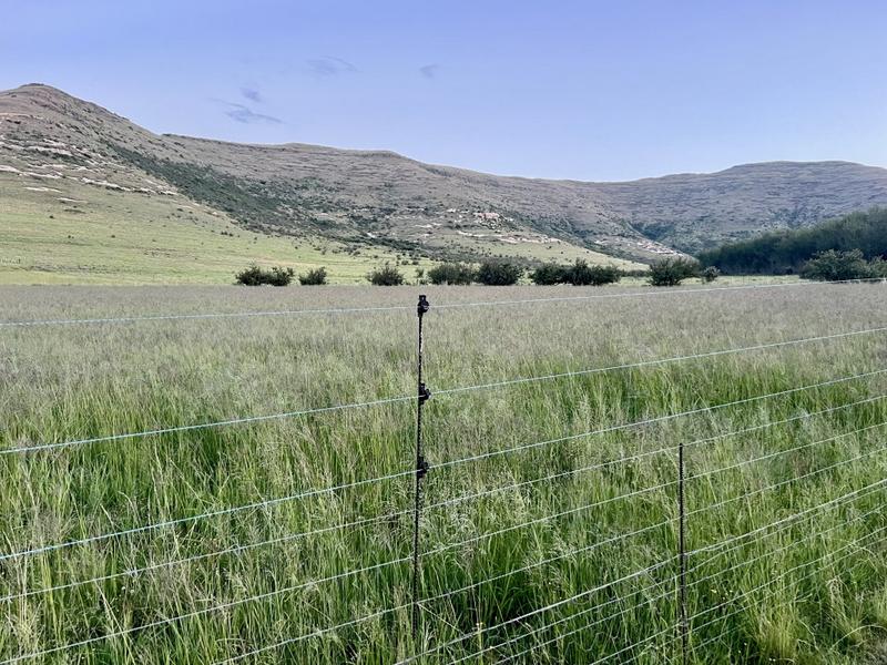 0 Bedroom Property for Sale in Fouriesburg Free State
